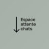 espace attente chats