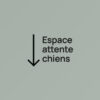 espace attente chiens copie