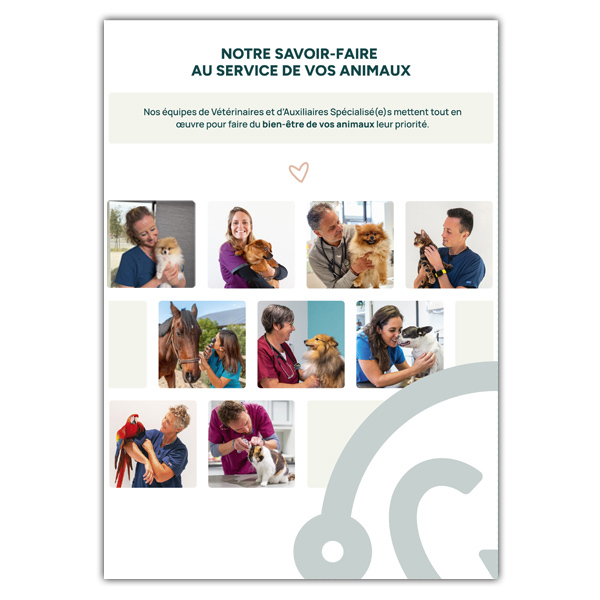 SEVETYS-DOSSIER-MEDICAL-DOS-12-2023 copie