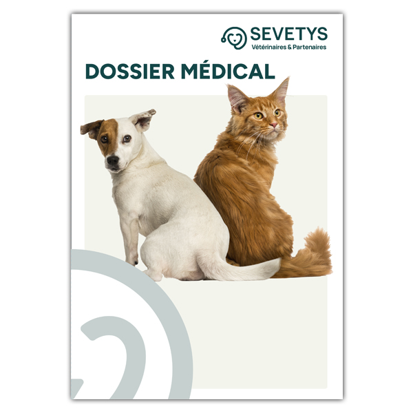 SEVETYS-DOSSIER-MEDICAL-P1-12-2023