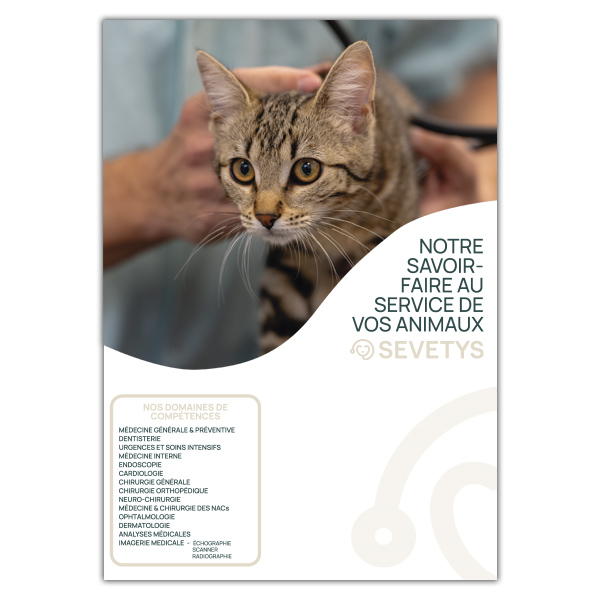 SEVETYS-DOSSIER-MEDICAL_personnalisé_DOS copie