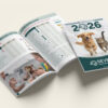 mockupcatalogue_2026_BD copie