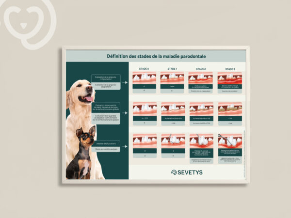 MockupAffiche_Parodontal-reduit