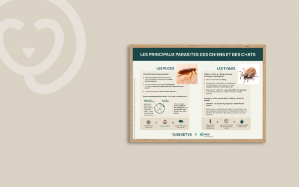 20250704_MKT_mockup_Affiche_PuceTique_APEAPI (1)