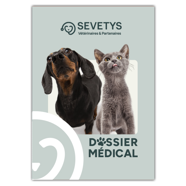 SEVETYS-DOSSIER-MEDICAL-V2-P1_2025