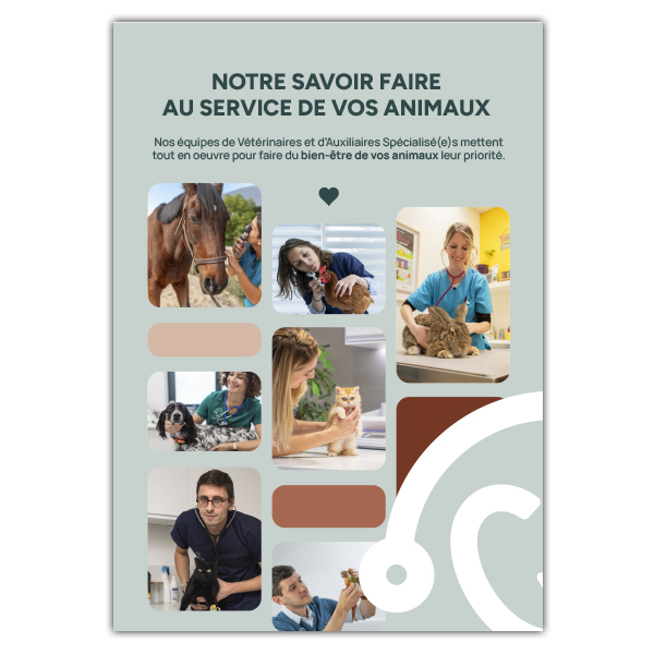 SEVETYS-DOSSIER-MEDICAL-V2-P4_2025