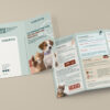 mockup finale copie