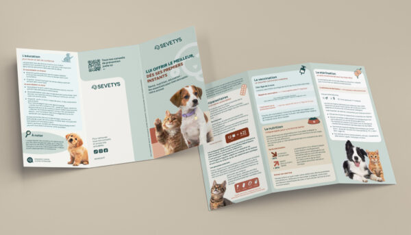 mockup finale copie