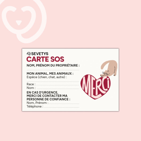 Carte SOS copie
