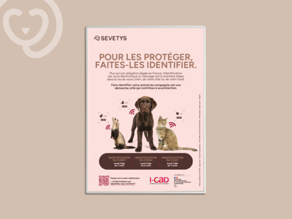 MockupAffiche_Identification