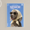 AFFICHE_senior-chien