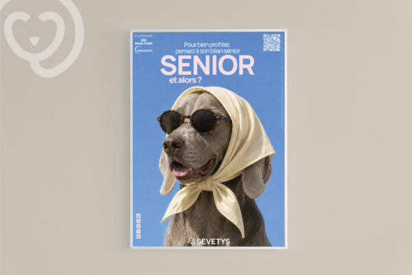 AFFICHE_senior-chien